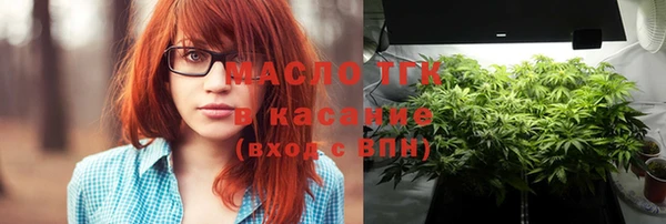 молекула духа Арсеньев