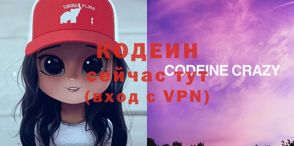 молекула духа Арсеньев