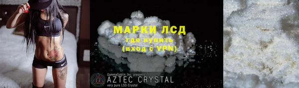 молекула духа Арсеньев