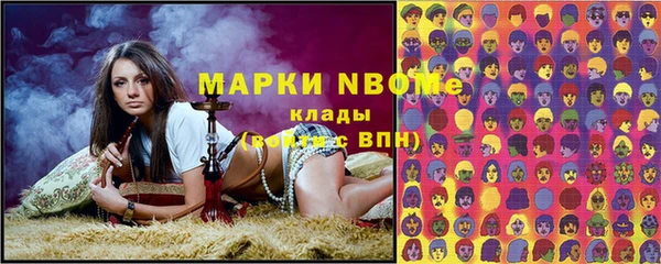 молекула духа Арсеньев