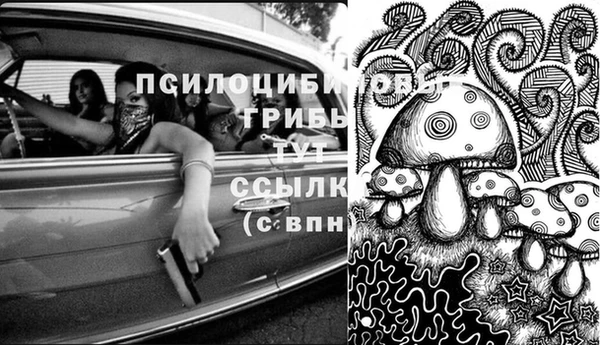 круглые Аркадак