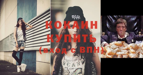 молекула духа Арсеньев